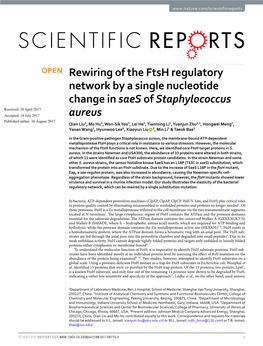 Rewiring of the Ftsh Regulatory Network by a Single Nucleotide