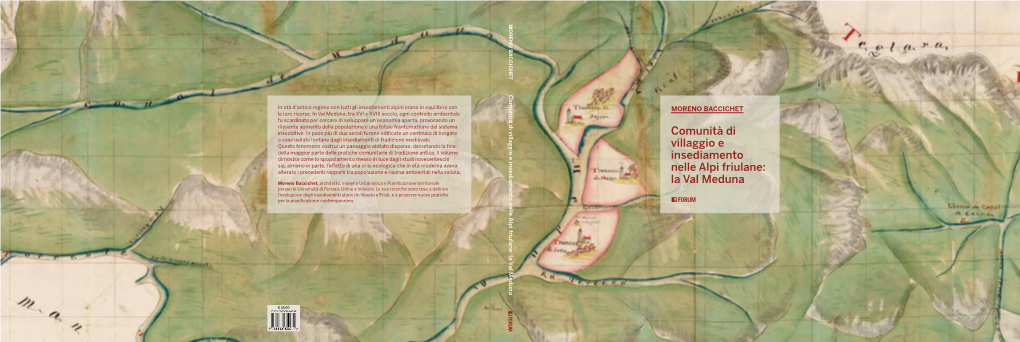 Comunità Di Villaggio E Insediamento Nelle Alpi Friulane: La Val Meduna