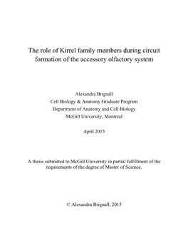 The Role of Kirrel Family Members During Circuit Formation of the Accessory Olfactory System