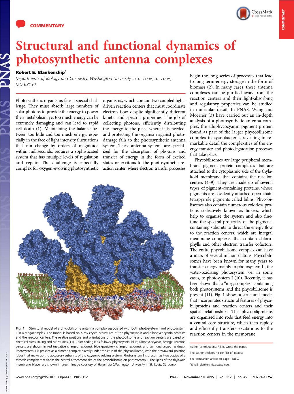 Structural and Functional Dynamics of Photosynthetic Antenna Complexes