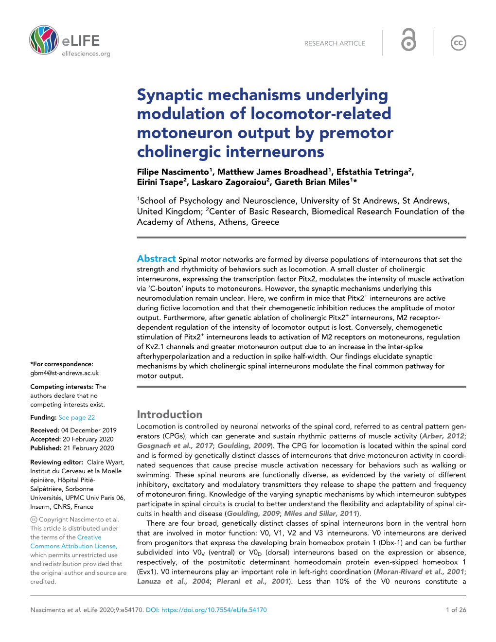 Synaptic Mechanisms Underlying Modulation of Locomotor-Related