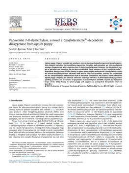 Papaverine 7-O-Demethylase, a Novel 2-Oxoglutarate/Fe2+-Dependent Dioxygenase from Opium Poppy ⇑ Scott C
