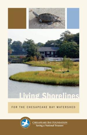 Living Shorelines