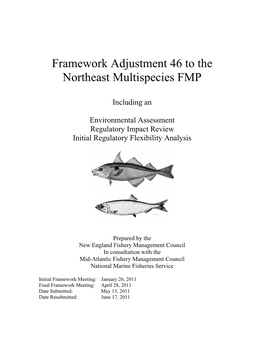 Framework Adjustment 46 to the Northeast Multispecies FMP