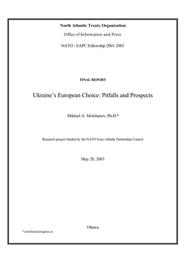 Ukraine's European Choice-Work
