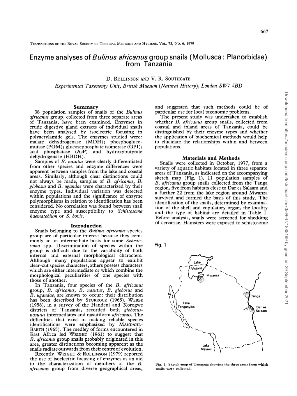 Enzyme Analyses of Buhnus Africanus Group Snails (Mollusca : Planorbidae) from Tanzania