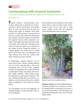 Landscaping with Tropical Bamboos the Author Is a Bamboo Specialist from Malaysia Now Practising in Florida, USA