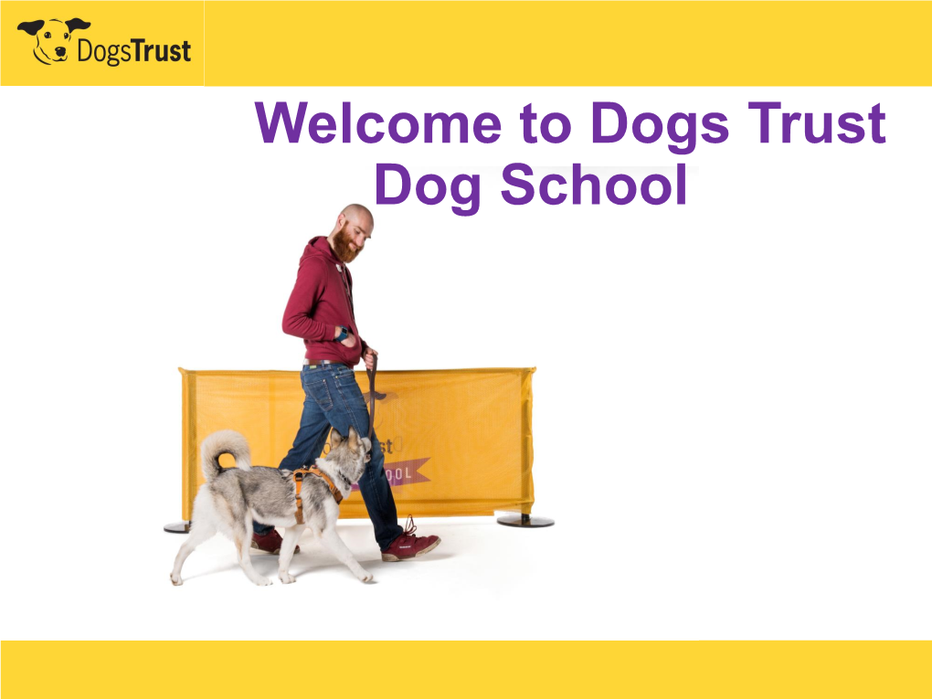 Dogs Trust Dog School