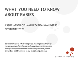 What You Need to Know About Rabies