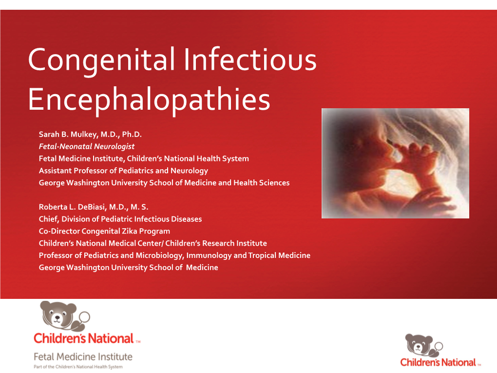 Congenital Infectious Encephalopathies