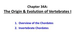 Chapter 34A: the Origin & Evolution of Vertebrates I