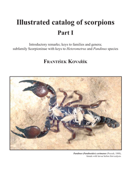 Illustrated Catalog of Scorpions Part I