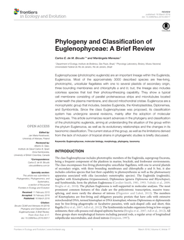 Phylogeny and Classification of Euglenophyceae