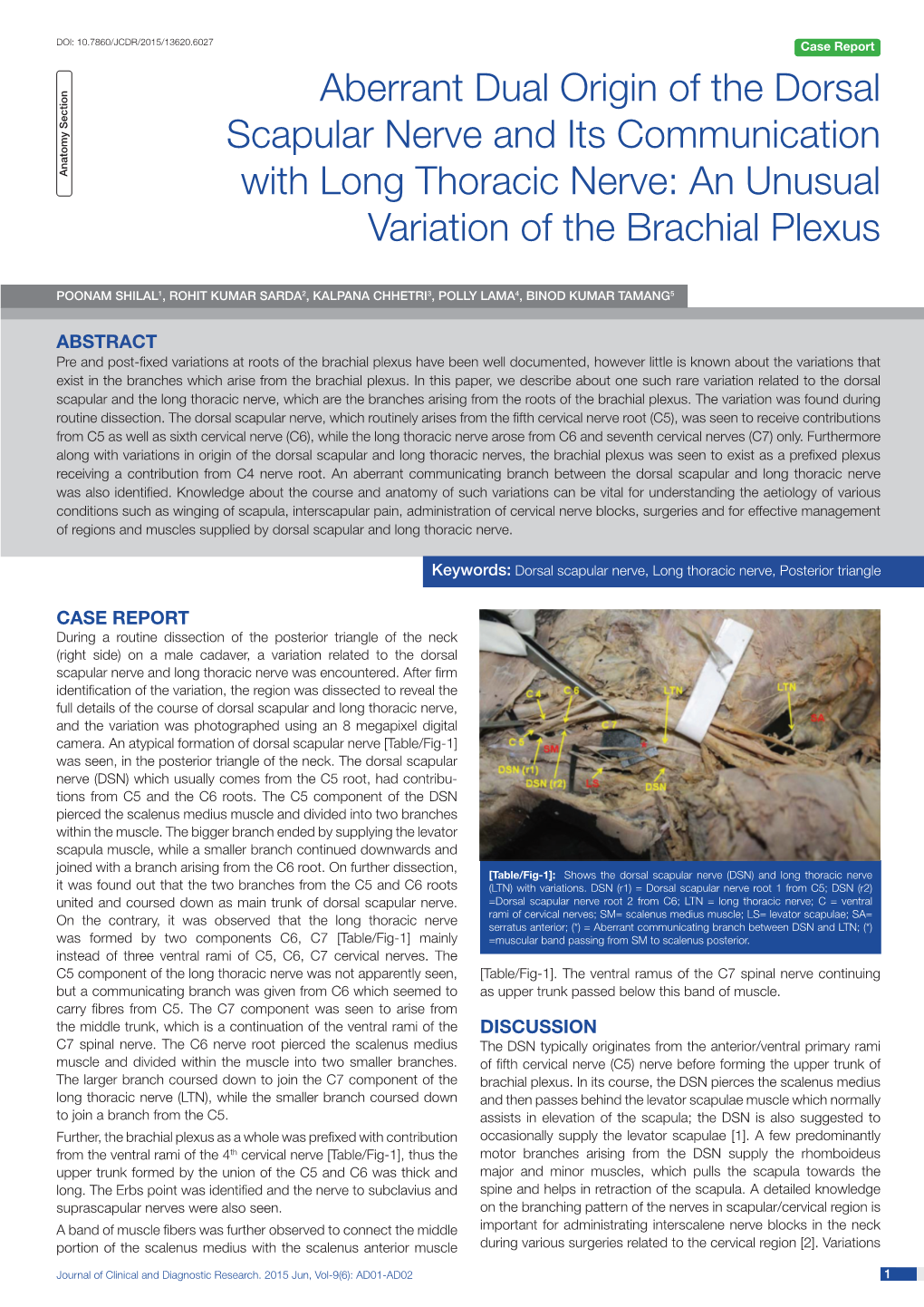 Aberrant Dual Origin of the Dorsal Scapular Nerve and Its Communication Anatomy Section with Long Thoracic Nerve: an Unusual Variation of the Brachial Plexus