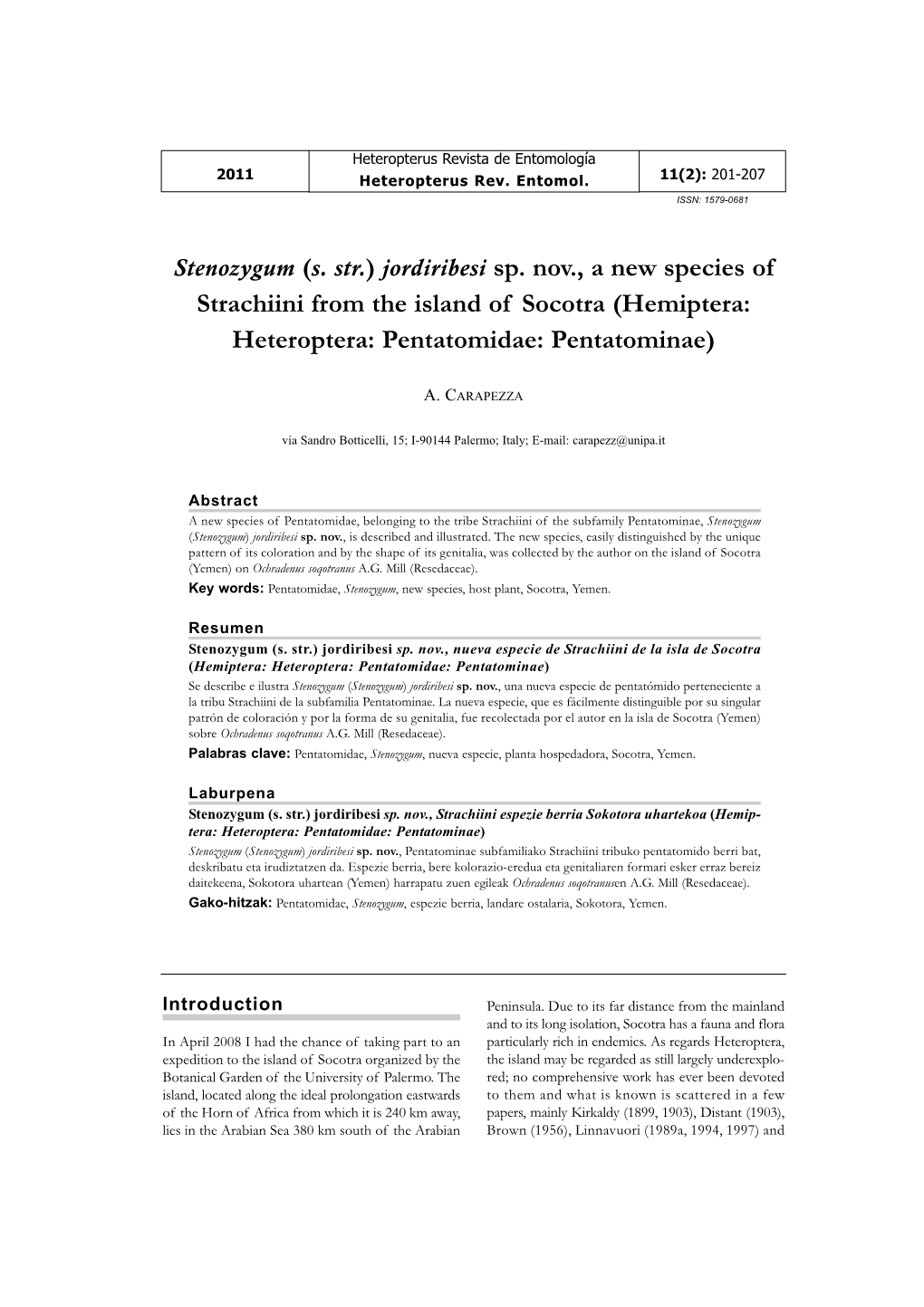 Stenozygum (S. Str.) Jordiribesi Sp. Nov., a New Species of Strachiini from the Island of Socotra (Hemiptera: Heteroptera: Pentatomidae: Pentatominae)