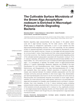 The Cultivable Surface Microbiota of the Brown Alga Ascophyllum Nodosum Is Enriched in Macroalgal- Polysaccharide-Degrading Bacteria