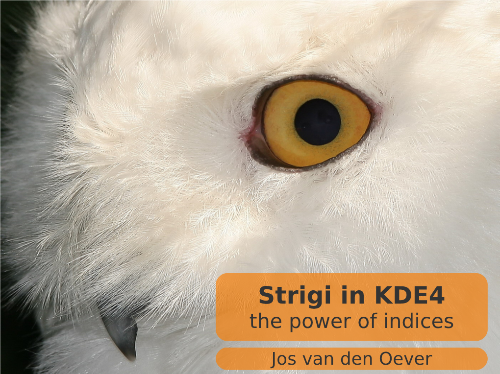 Strigi in KDE4 the Power of Indices