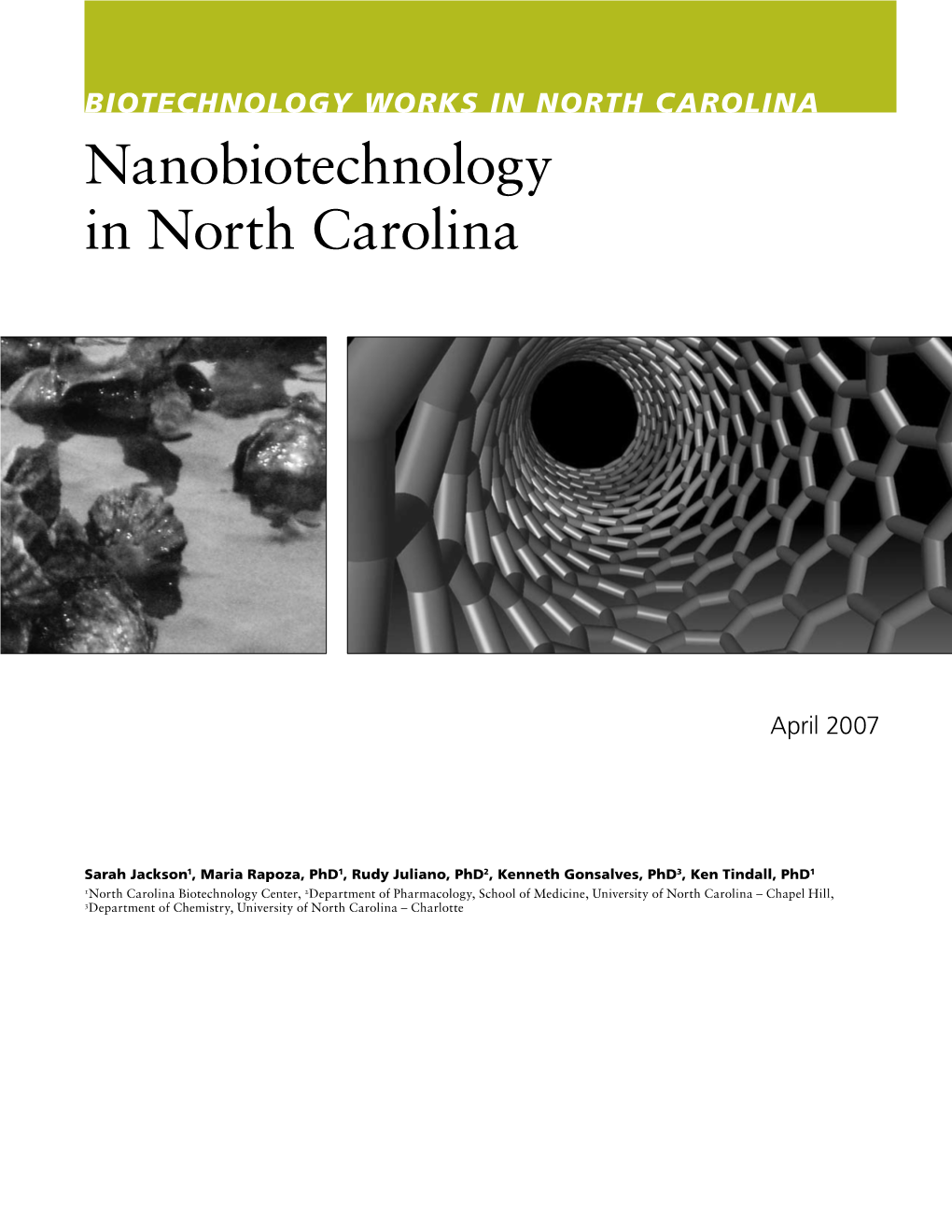 Nanobiotechnology in North Carolina