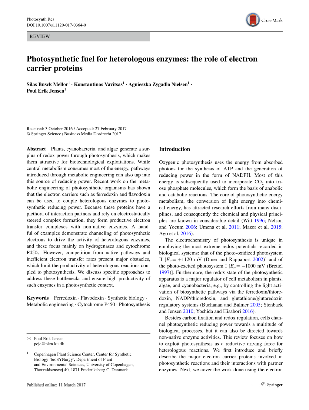 Photosynthetic Fuel for Heterologous Enzymes: the Role of Electron Carrier Proteins