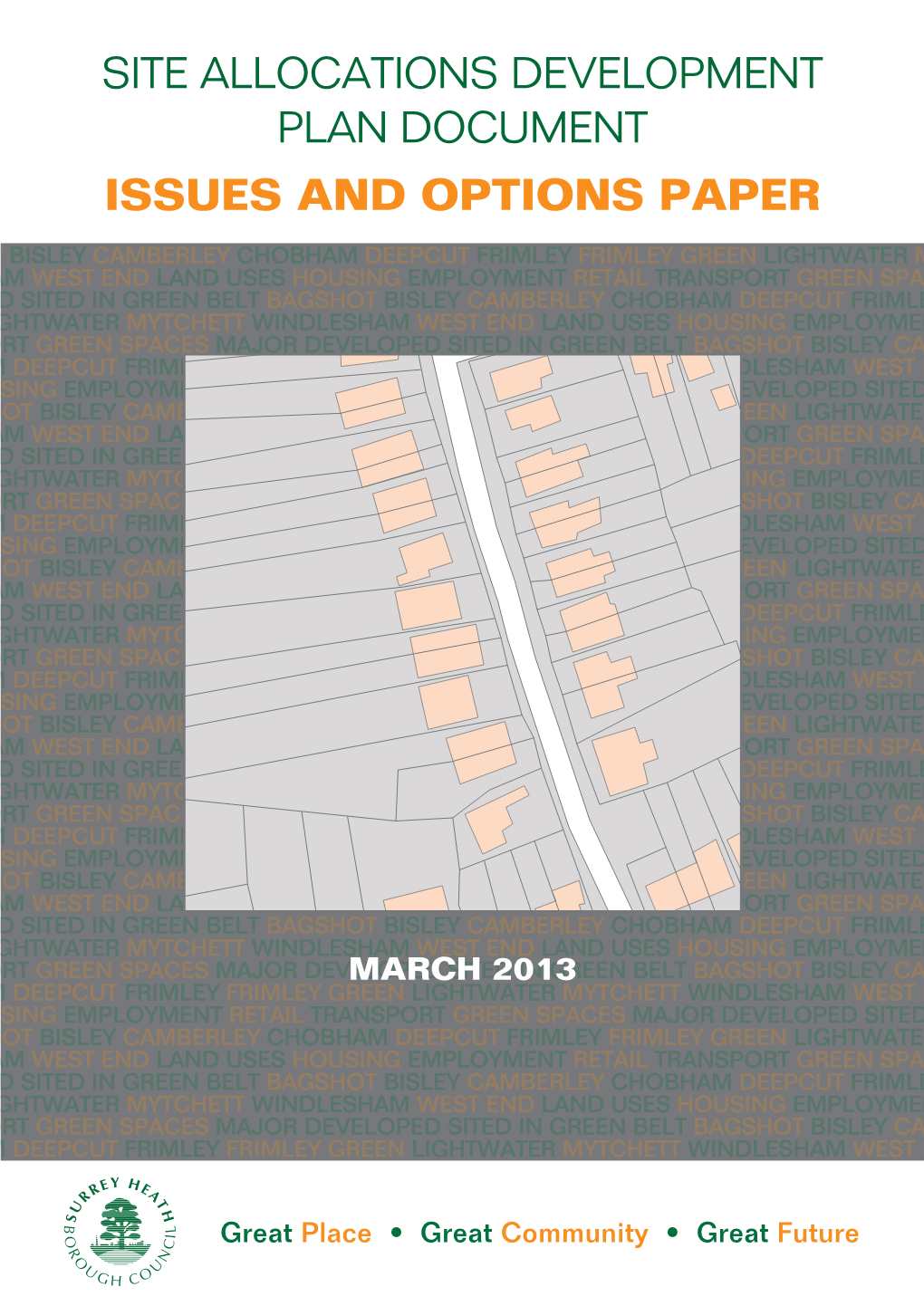 Site Allocations Development Plan Document Issues and Options Paper