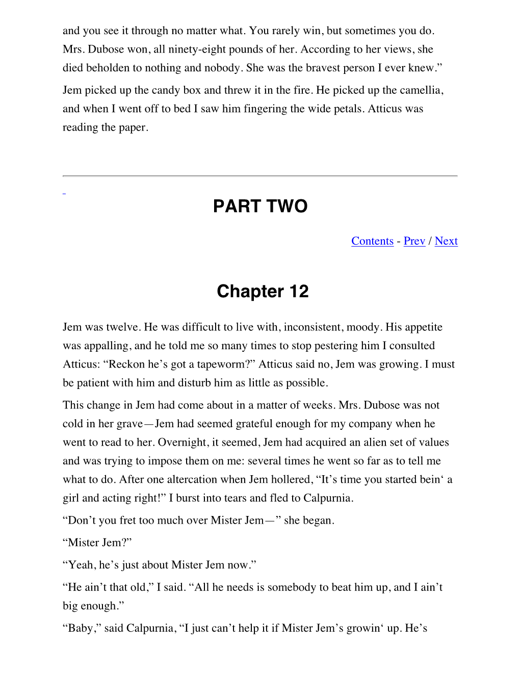 TKAM Chapters 12-14.Pdf