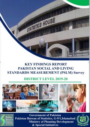 Key Finding Report of PSLM