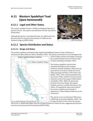 A.11 Western Spadefoot Toad (Spea Hammondii) A.11.1 Legal and Other Status the Western Spadefoot Toad Is a California Designated Species of Special Concern