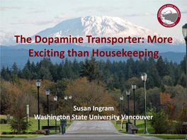 The Dopamine Transporter: More Exciting Than Housekeeping