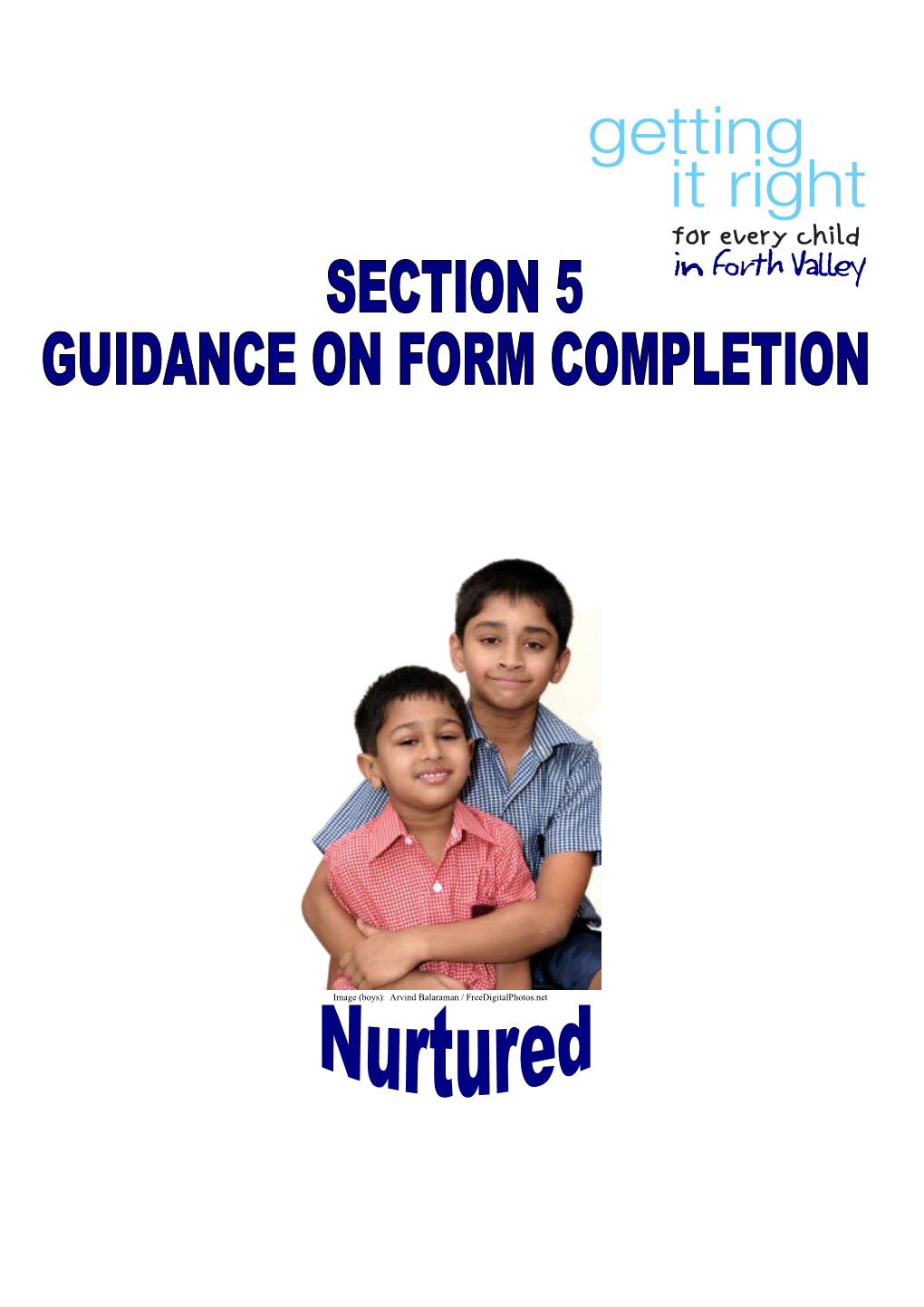 The Following Section Provides Detailed Guidance on Completion of the Forms