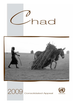 Cap 2009 Chad Vol1 Screen 11.Pdf (English)