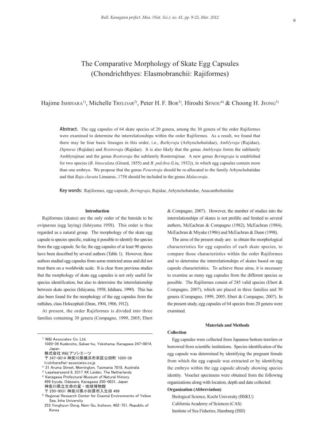 H. Ishihara Et Al.: Morphological Study of Skate Egg Capsules / 石原ほか