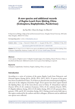 A New Species and Additional Records of Rugilus Leach from Qinling, China (Coleoptera, Staphylinidae, Paederinae)