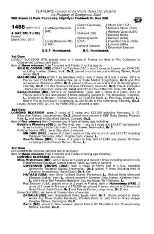 YEARLING, Consigned by Voute Sales Ltd. (Agent) the Property of Grangecon Stud Will Stand at Park Paddocks, Highflyer Paddock M, Box 228