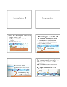 Motor Mechanisms II Review Questions Binding of ATP to Myosin