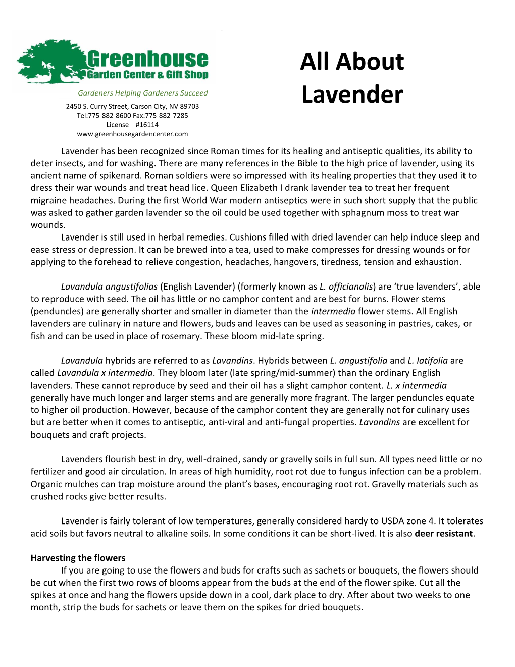 About Lavender