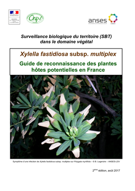 Xylella Fastidiosa Subsp. Multiplex
