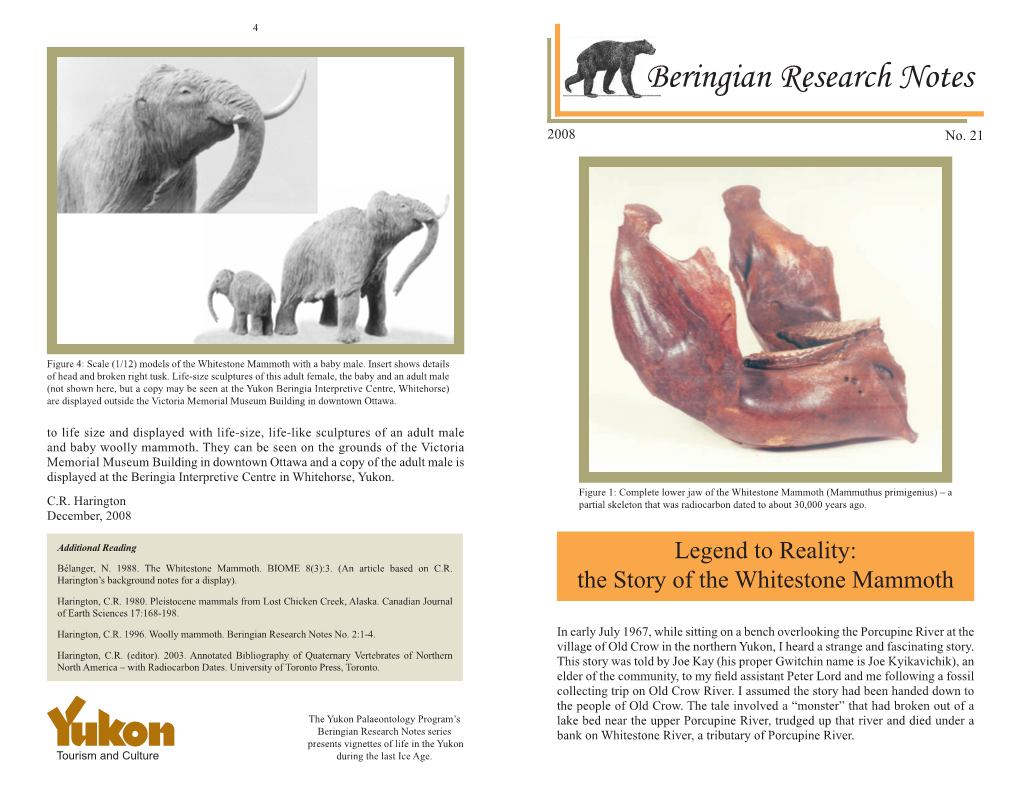 Legend to Reality: the Story of the Whitestone Mammoth