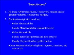 “Insectivores”