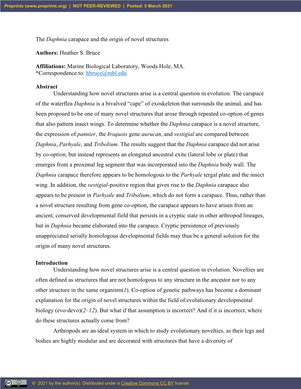 The Daphnia Carapace and the Origin of Novel Structures