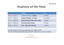 Anatomy of the Neck