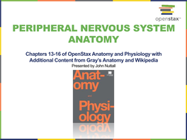 Peripheral Nervous System Anatomy