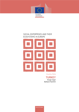 Social Enterprises and Their Ecosystems in Europe. Country Fiche: Turkey