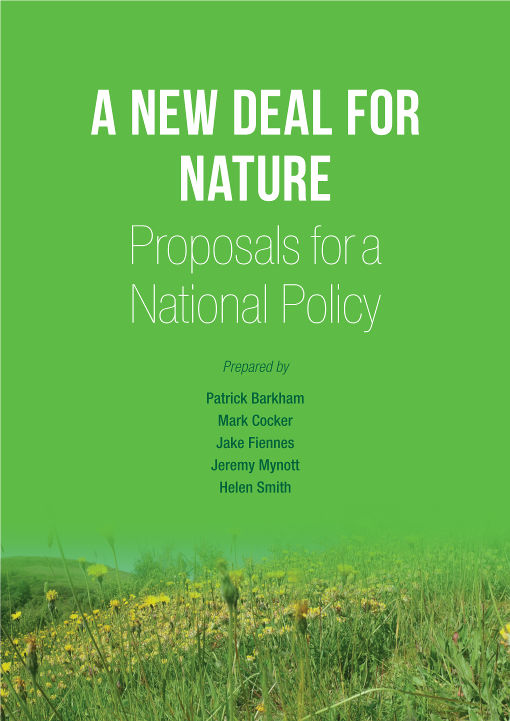 A New Deal for Nature Web.Pdf