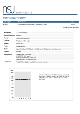 MCM7 Antibody (R30890)