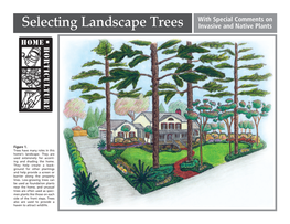 Selecting Landscape Trees with Special Comments On