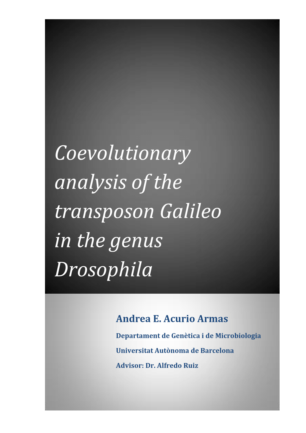 Coevolutionary Analysis of the Transposon Galileo in the Genus Drosophila