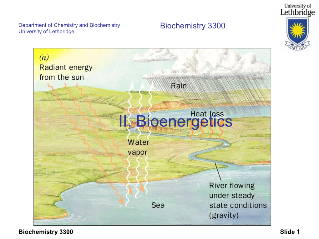 II. Bioenergetics