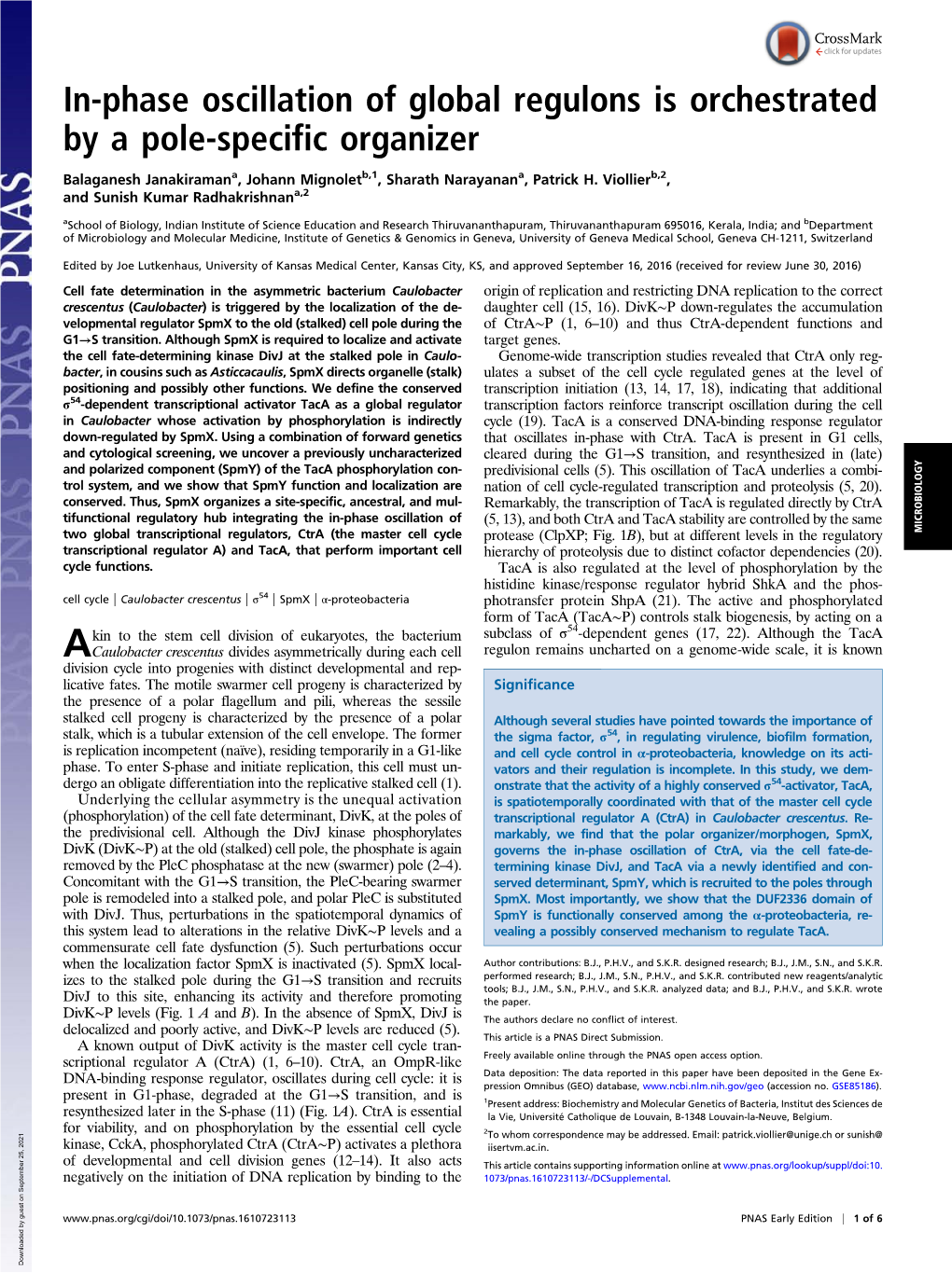 In-Phase Oscillation of Global Regulons Is Orchestrated by a Pole-Specific Organizer