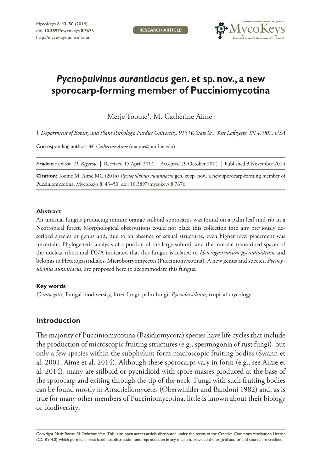 Pycnopulvinus Aurantiacus ﻿﻿Gen. Et Sp. Nov., a New