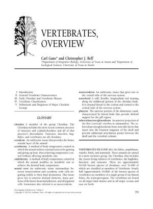 Vertebrates, Overview